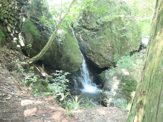 Kifuneiryu Shrine-桧原村必去景点