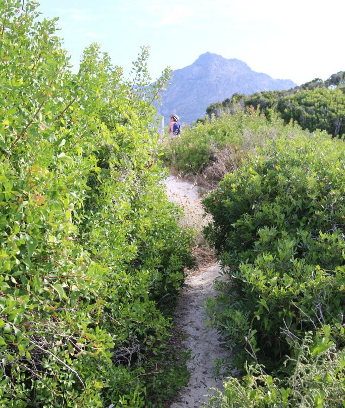 Tour d'Albo-Ogliastro必去景点