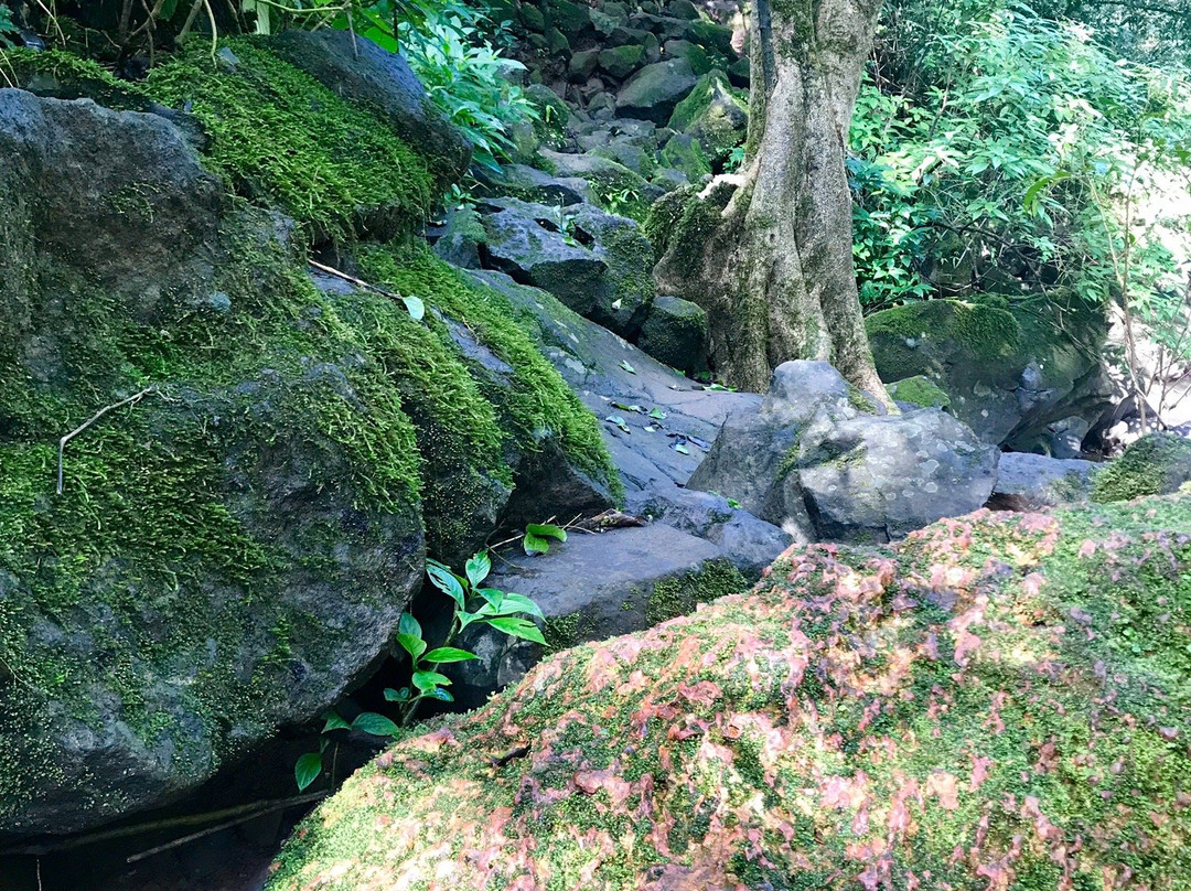 Sada Falls景点图片