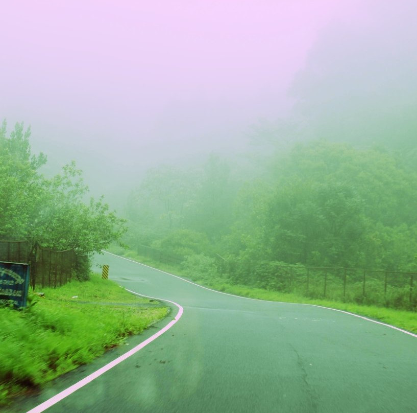 Kudremukh National Park景点图片