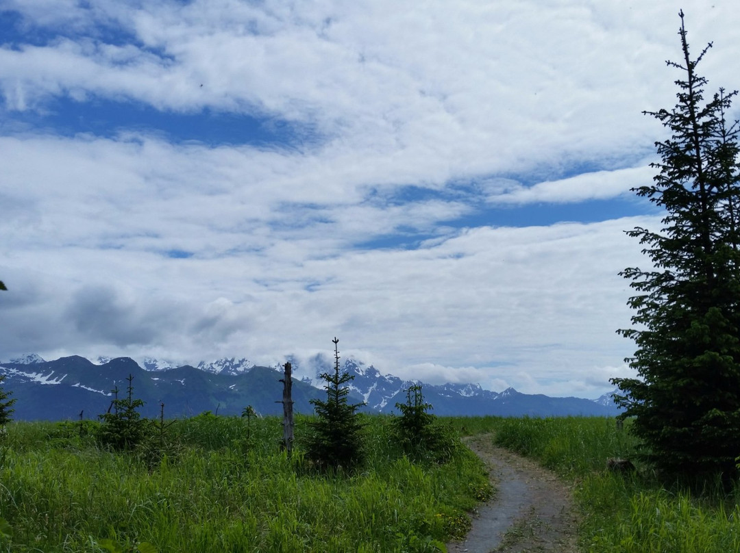Tonsina Creek Trail