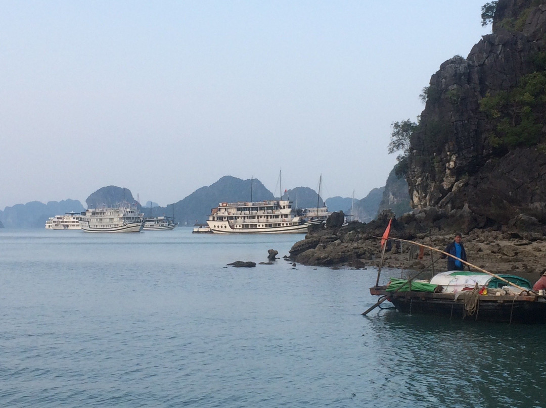 Viet Rice Fields Travel-河内必去景点