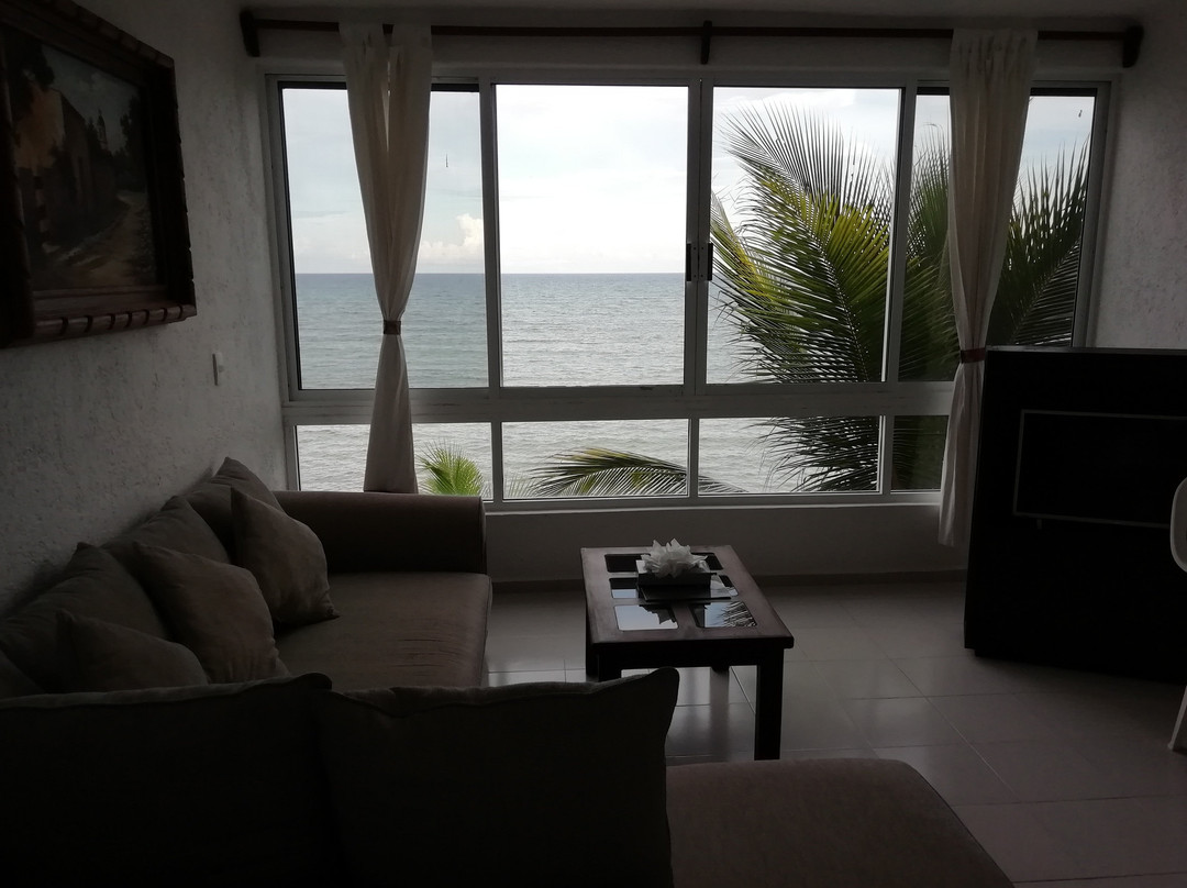 Del Sol Beachfront Properties主图