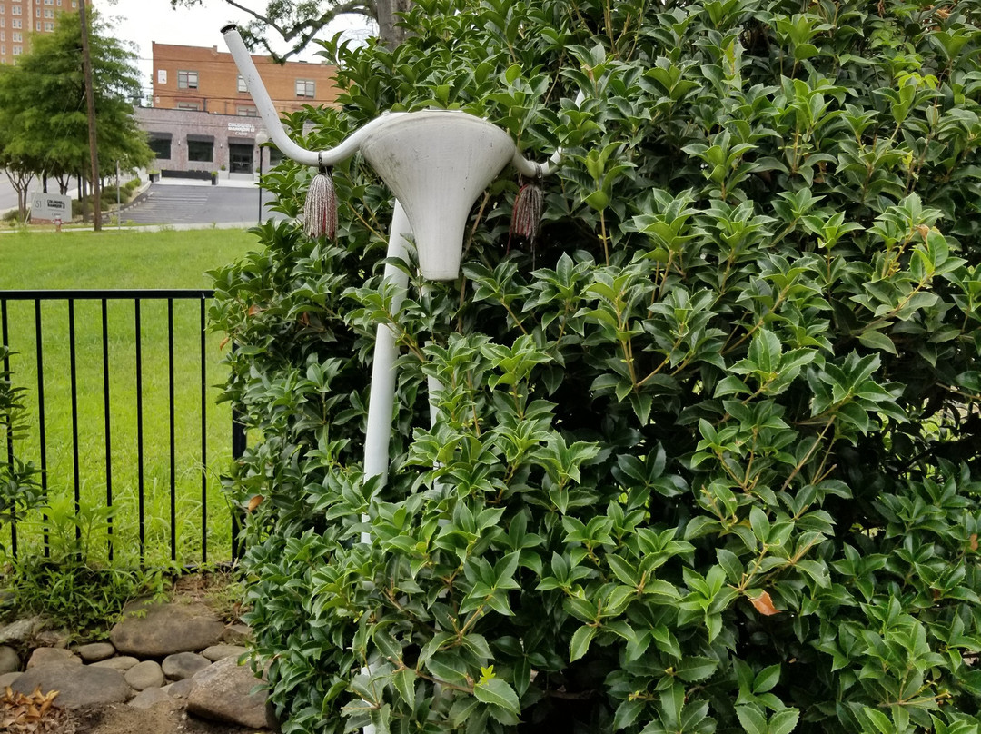 Hub City Art Park景点图片