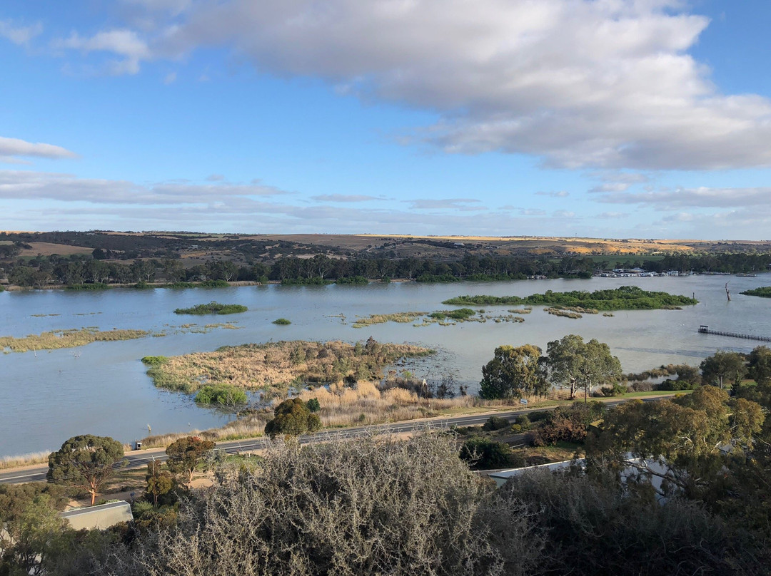 Mannum Lookout景点图片