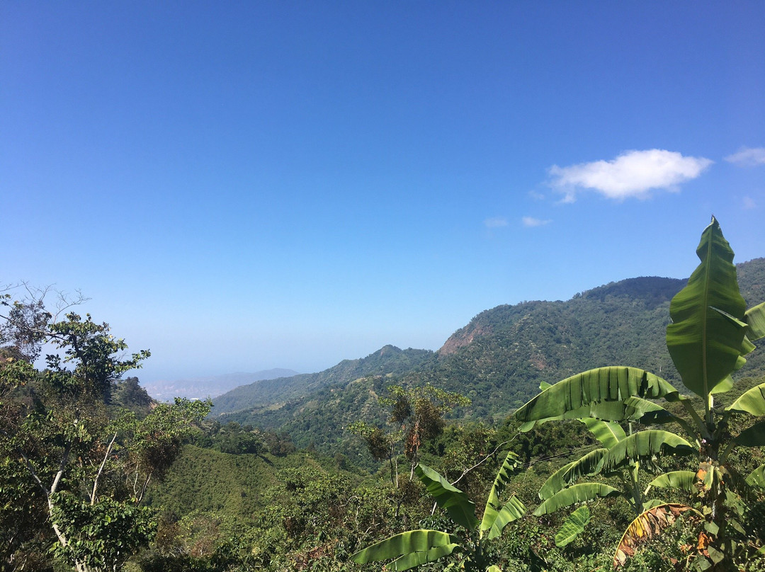 Dirt Roads Colombia景点图片