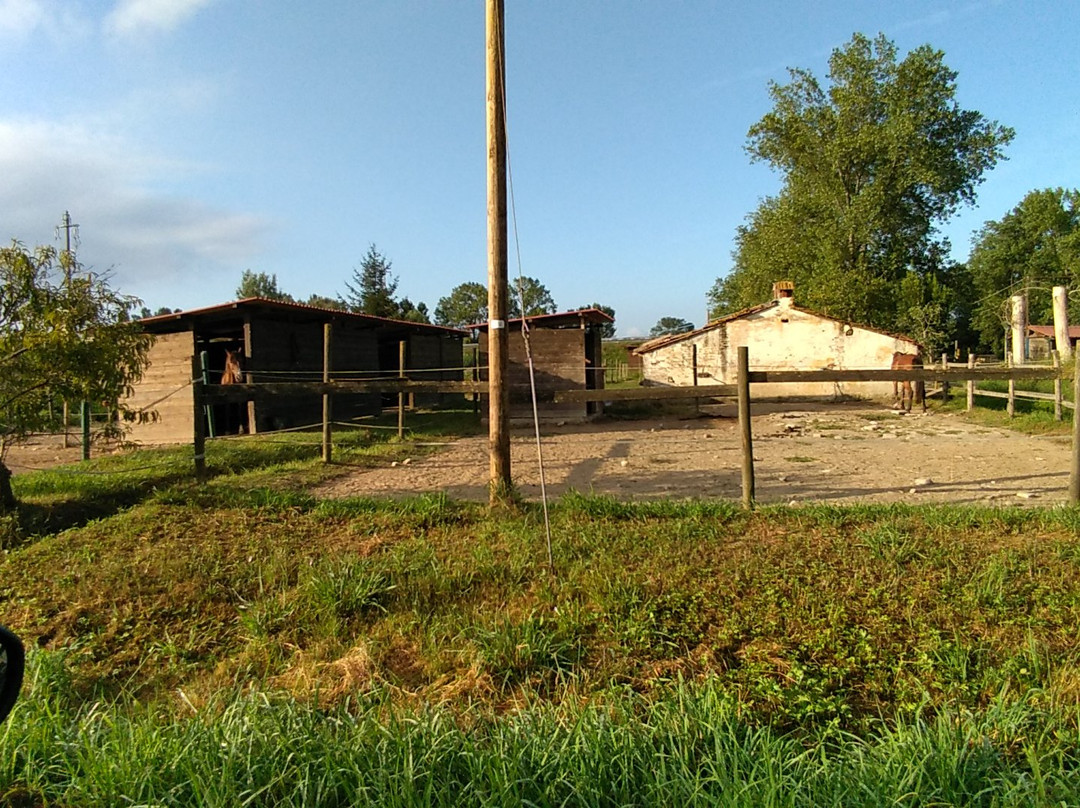 Fattoria Battilana主图