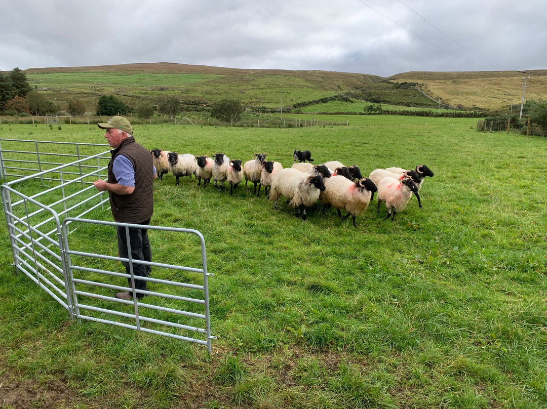 Glen Keen Farm景点图片
