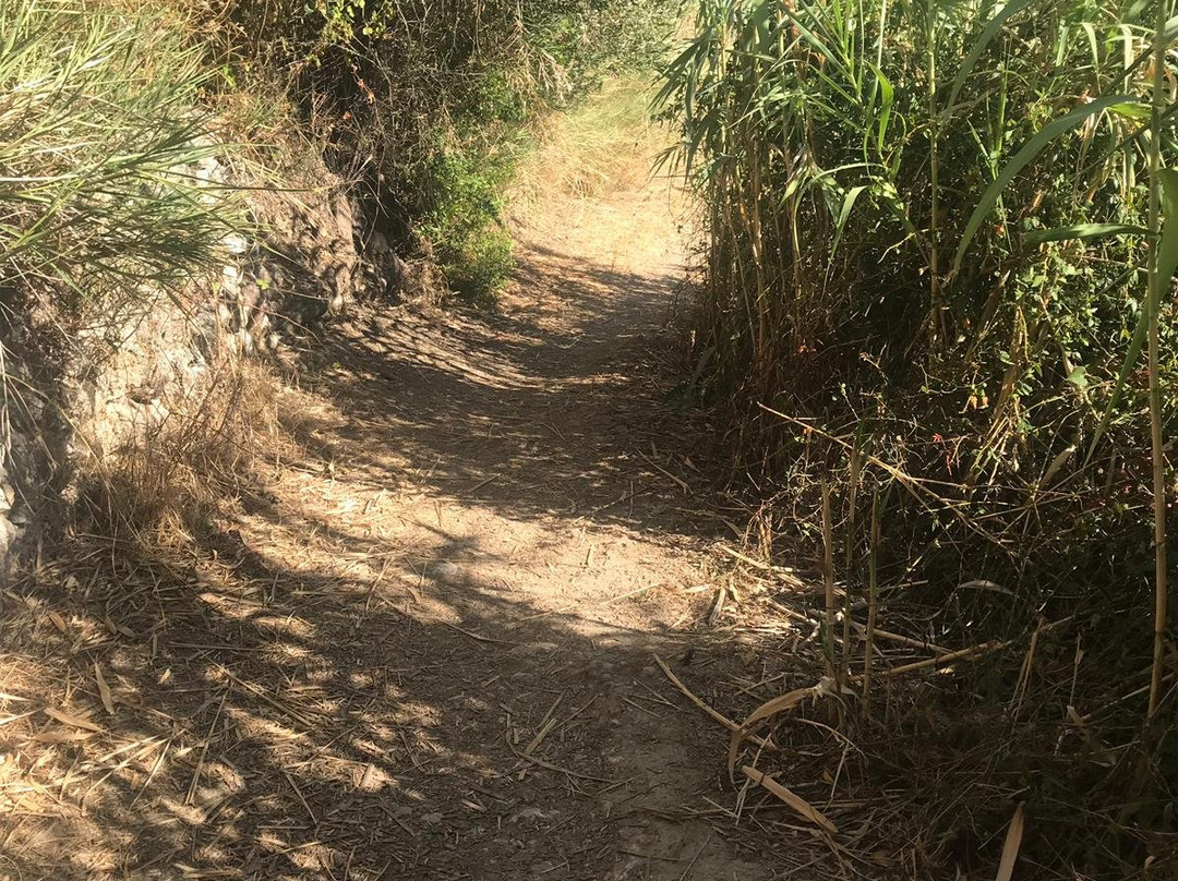 Casa De Blue Studios主图