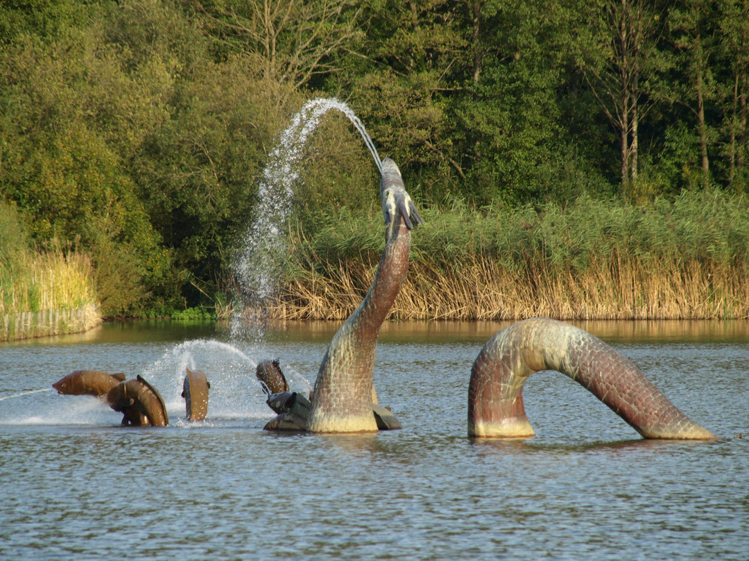 Llandrindod Wells Lake Park景点图片