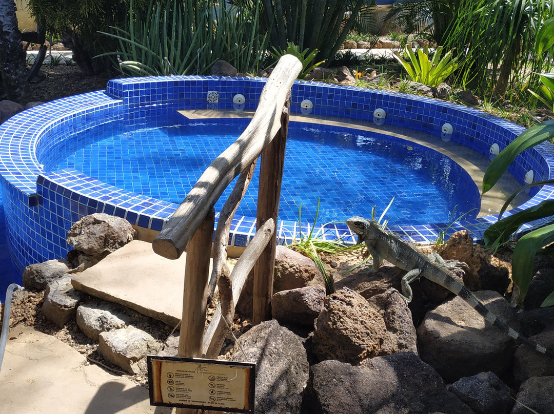 Pousada Vila Parnaiba主图