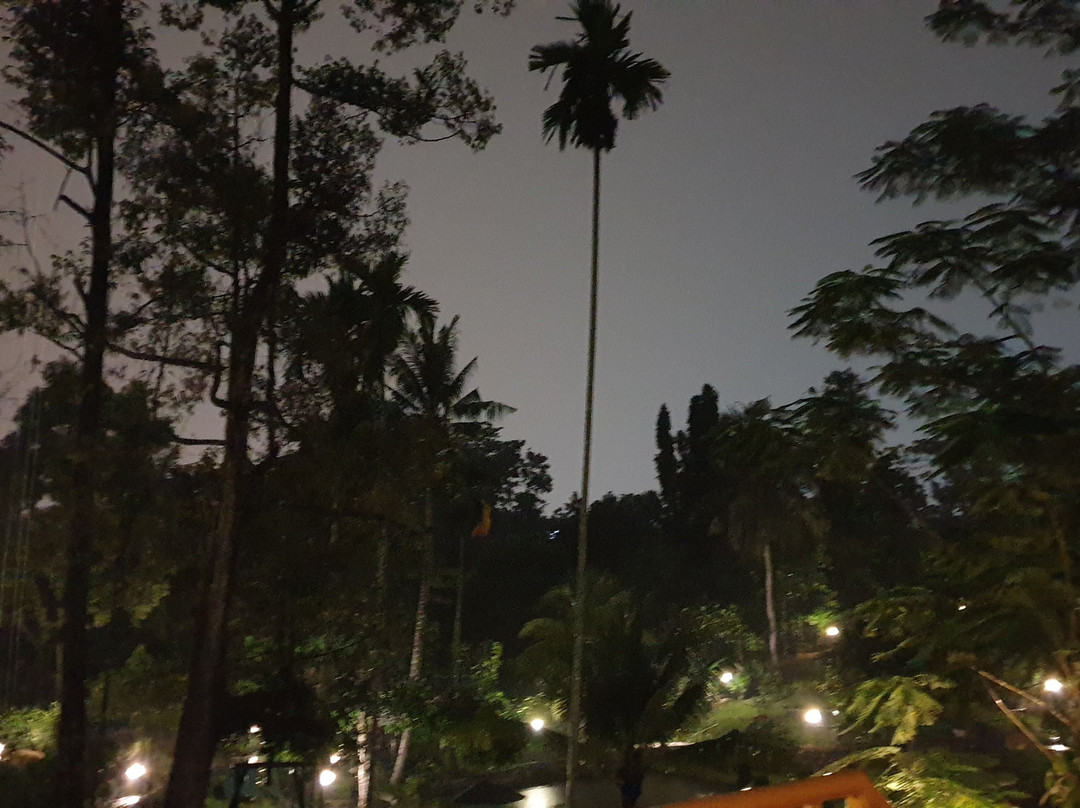 Hotel Deli River主图