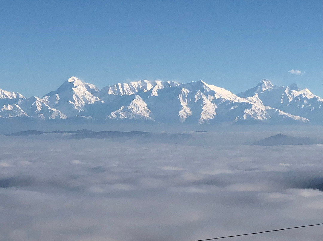 Chirping Chidiya主图