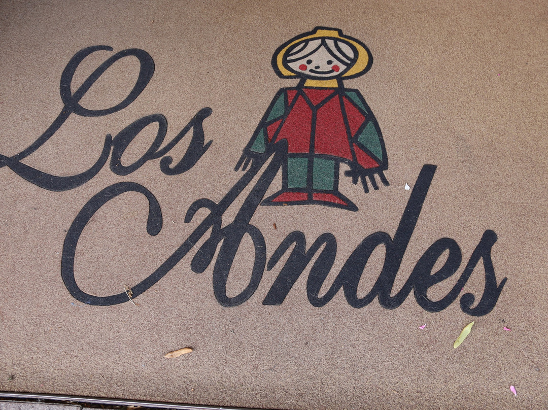 Hotel Los Andes主图