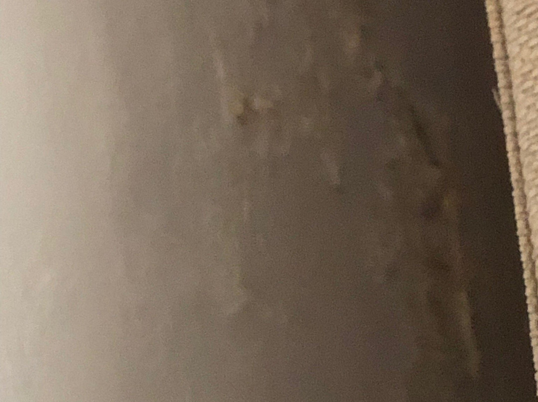 Hotel Can Moragues主图