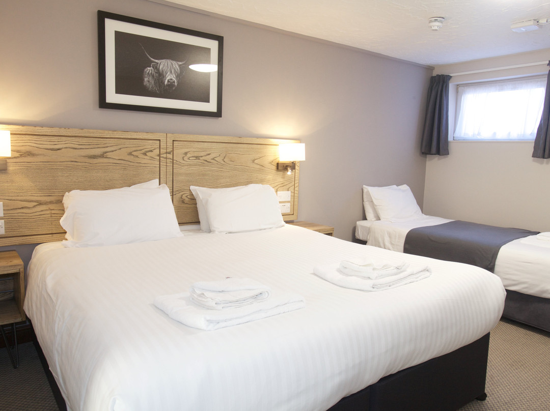 The Waterloo Cross主图