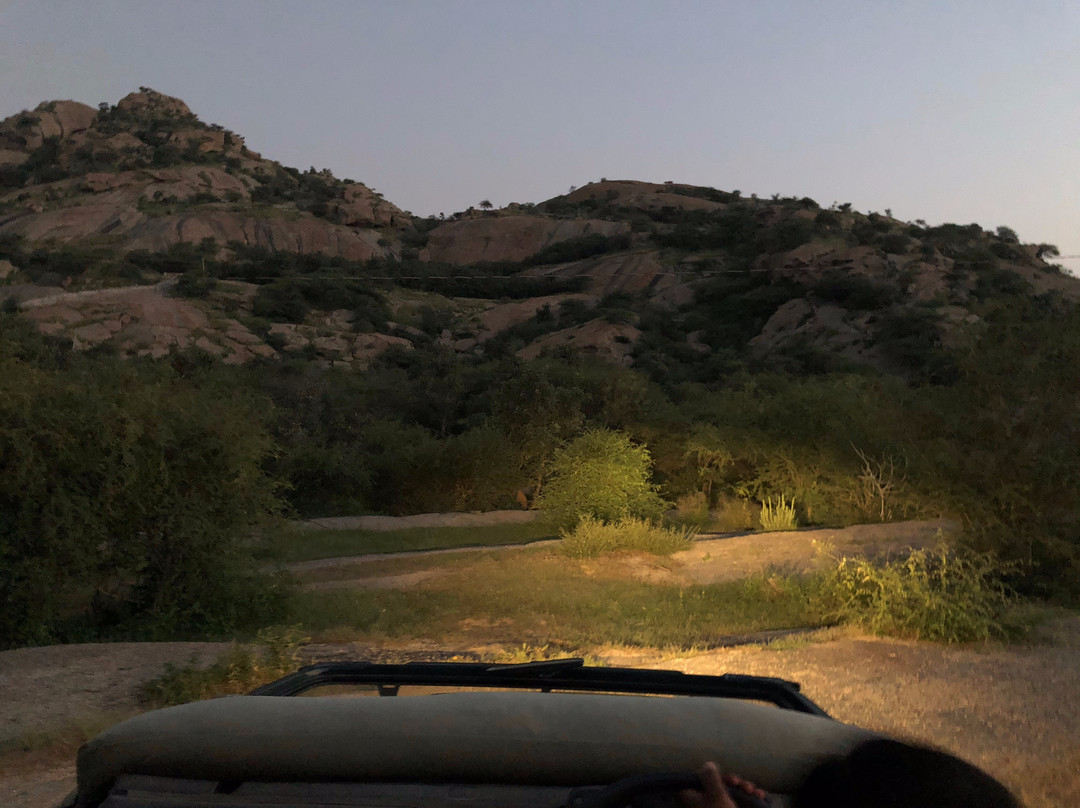 Leopard Hills-Bera必去景点