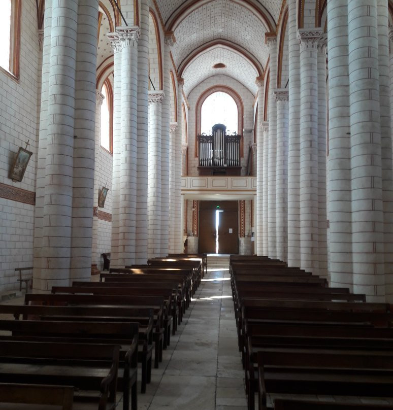 Collégiale St Pierre景点图片