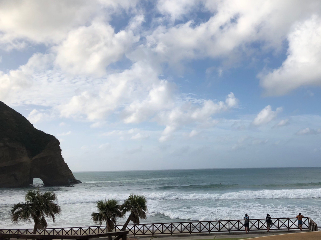 Tanegashima Iwasaki Hotel主图
