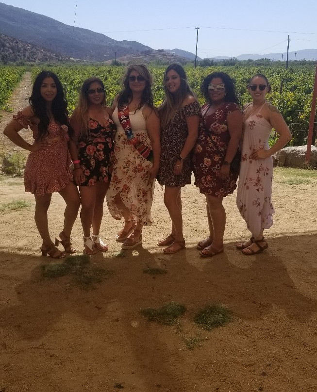 Baja Luxury Wine Tours景点图片