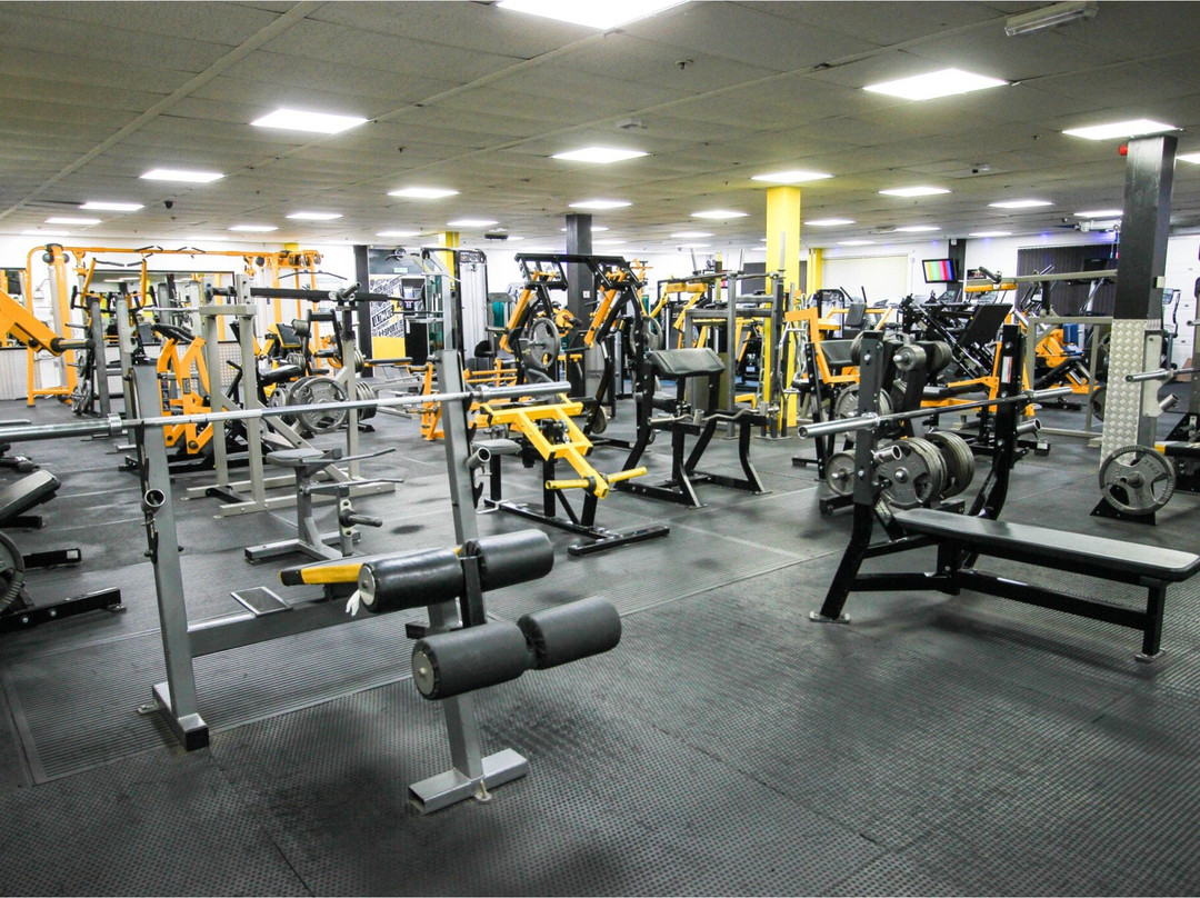 Ultimate Strength & Fitness景点图片