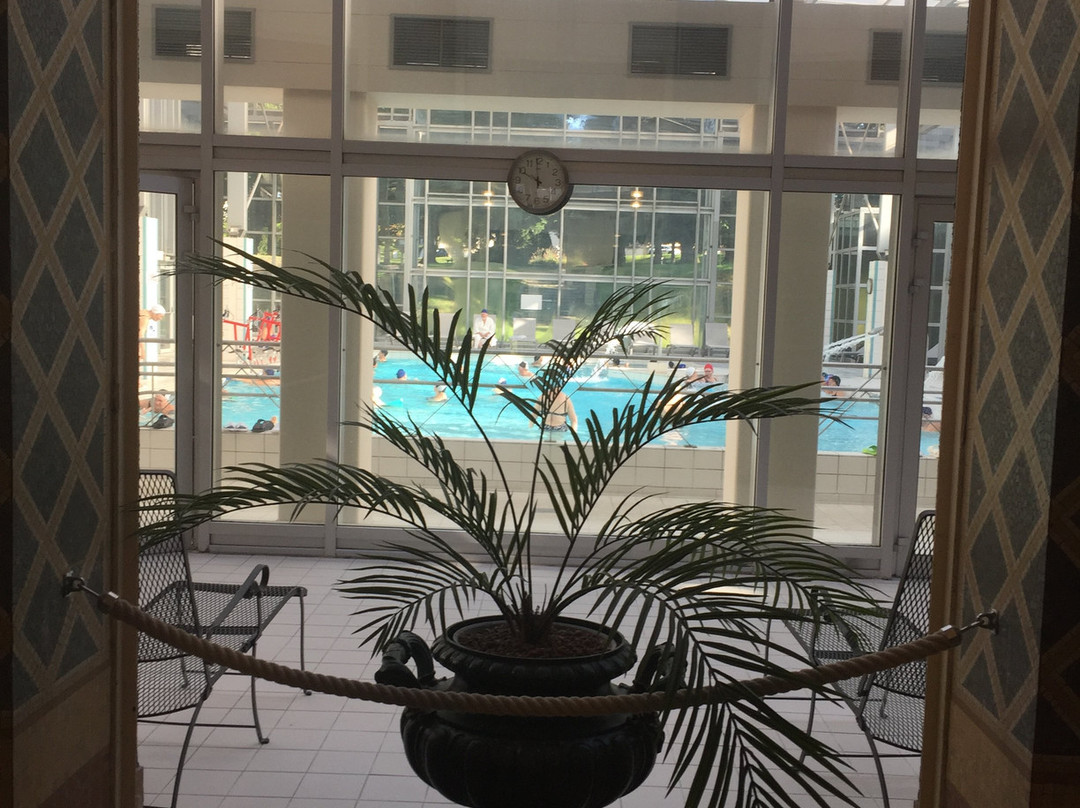 Thermes de Luxeuil-les-Bains-Luxeuil-les-Bains必去景点