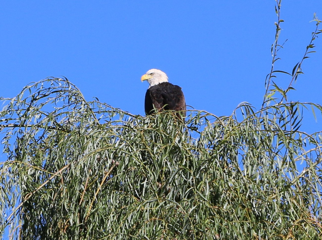 Green Valley Park-Payson必去景点