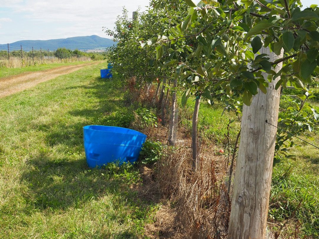 Vergers Petit et Fils-Mont-Saint-Hilaire必去景点