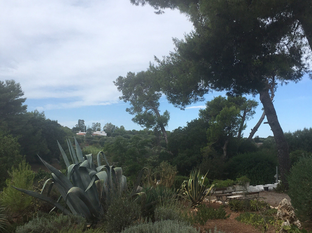 B&B La Rava e la Fava主图