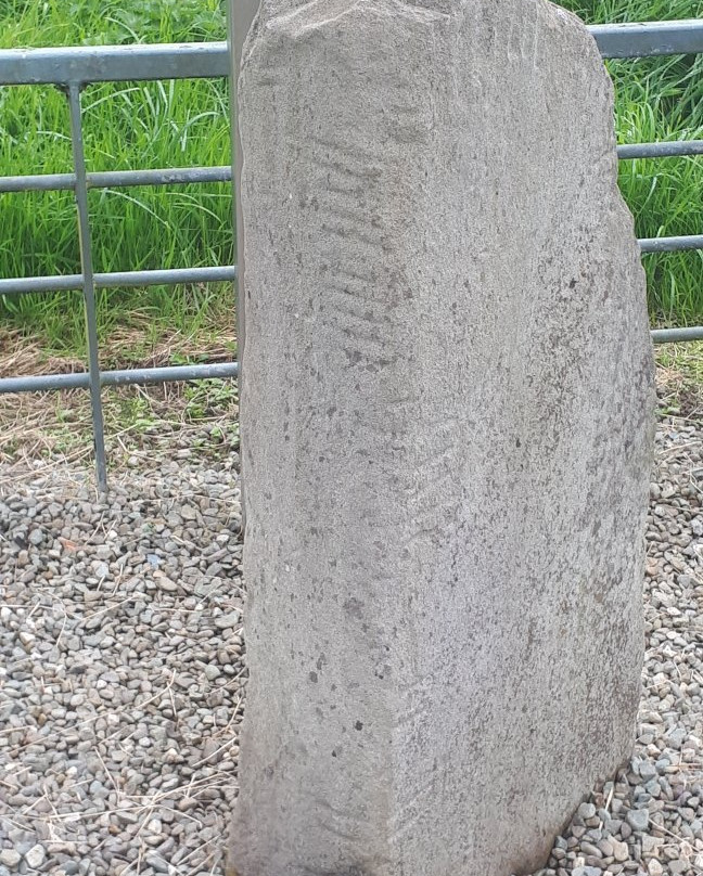 Chute Hall Ogham Stones-特拉利必去景点
