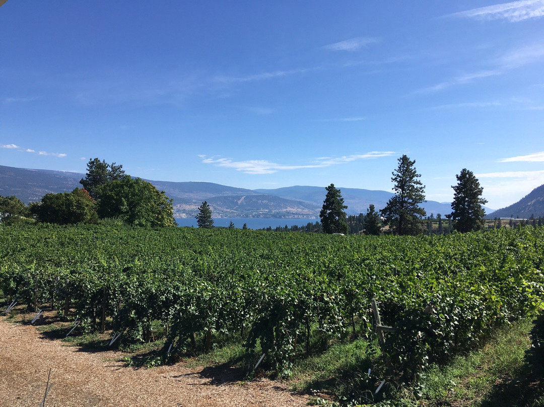 Giant Head Estate Winery景点图片
