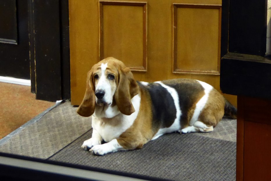 摇摆狗品质酒店-浴室