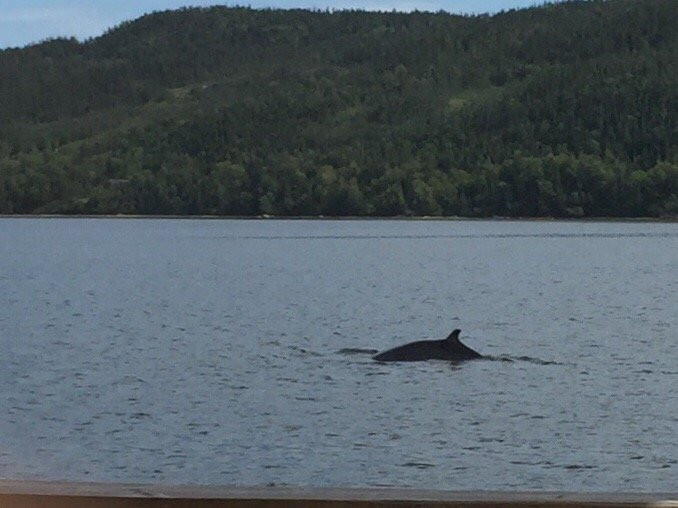 By The Sea Inn & Cafe主图