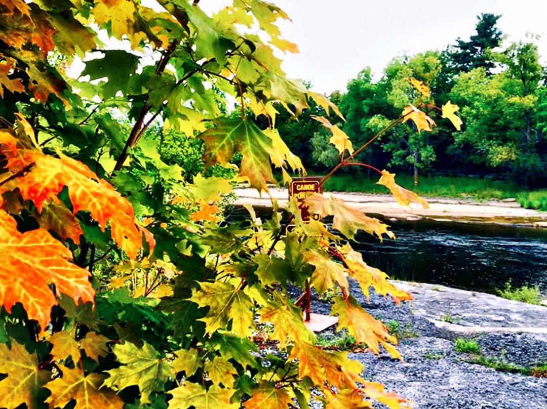 Black River Trail-Black River必去景点