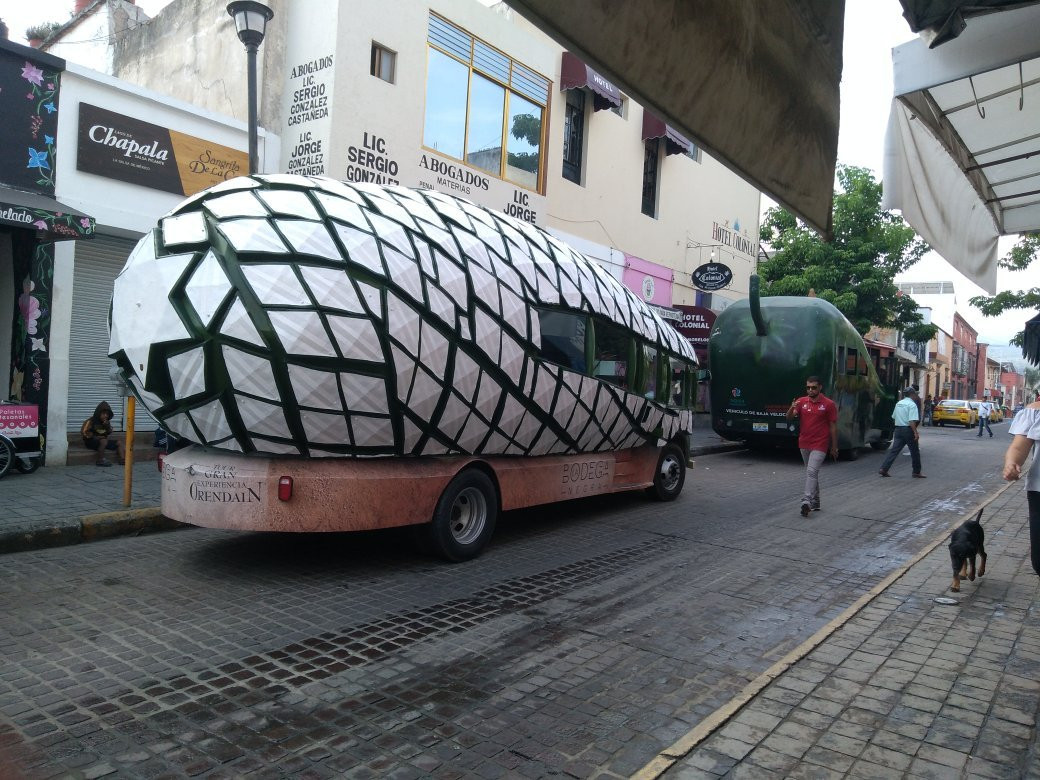 Hotel La Rienda Mision Tequillan主图