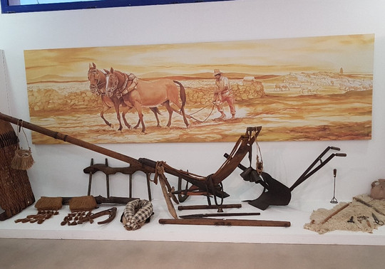 Museo Fuente Alamo-Fuente Alamo必去景点