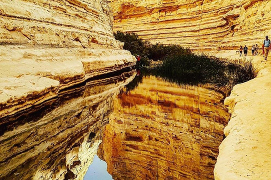 Gabriel Najenson - Gabo The Guide-特拉维夫必去景点