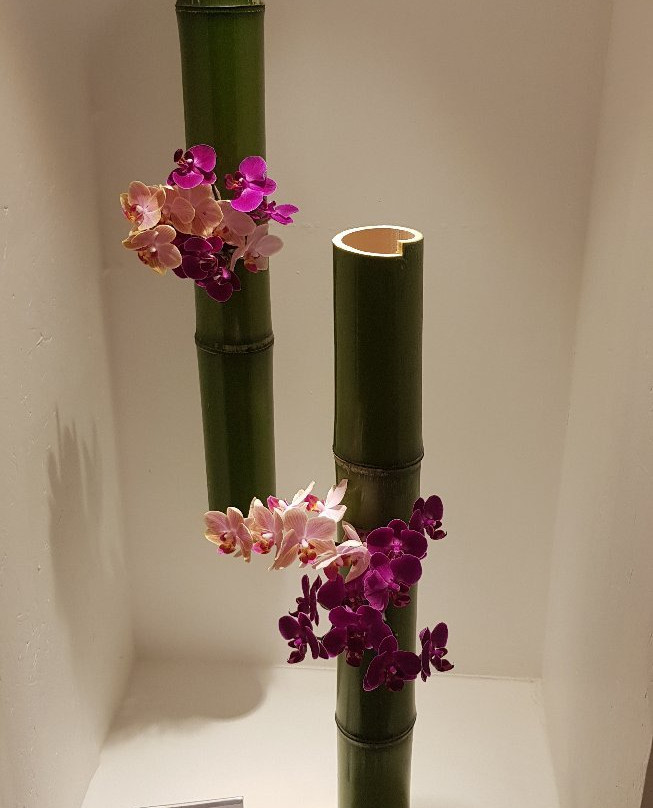 Templo Shin Budista – Terra Pura Brasília-巴西利亚必去景点