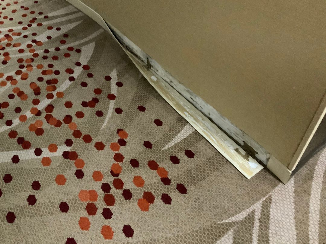 圣路易斯机场万丽酒店主图