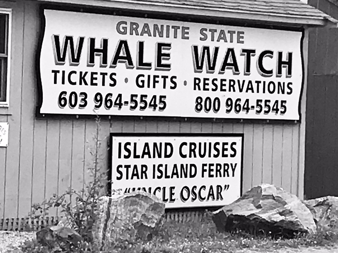 Granite State Whale Watch景点图片