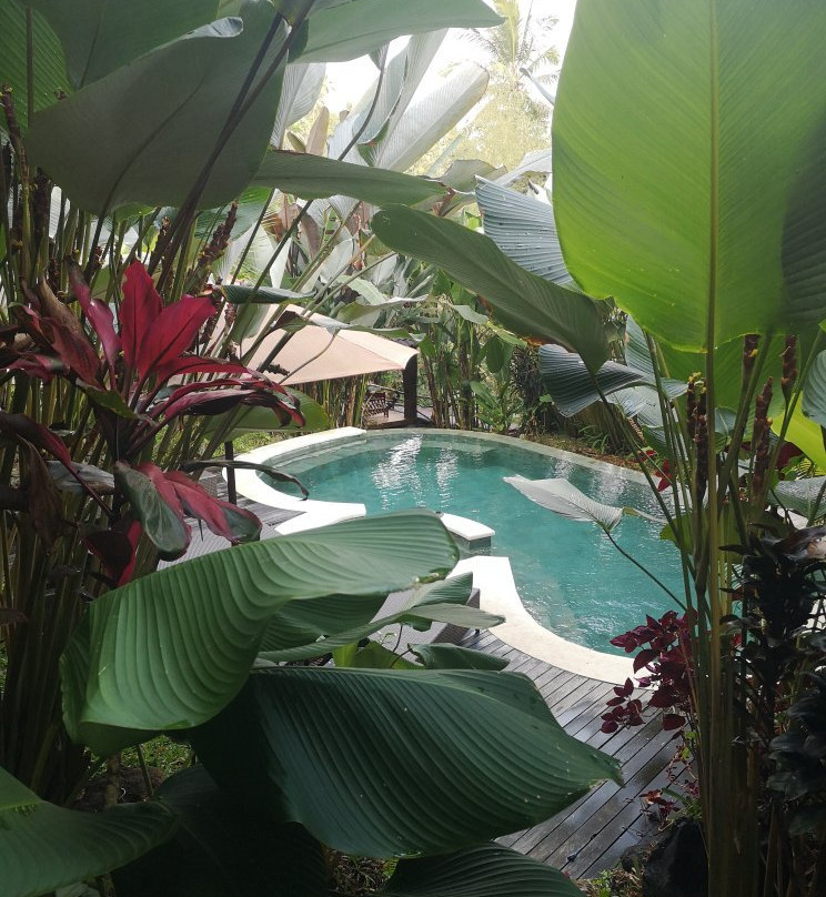 Umah Tis Sebatu主图