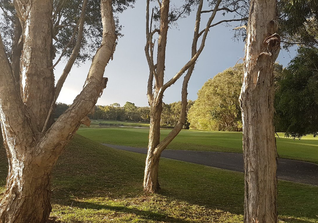 Twin Waters Golf Club景点图片