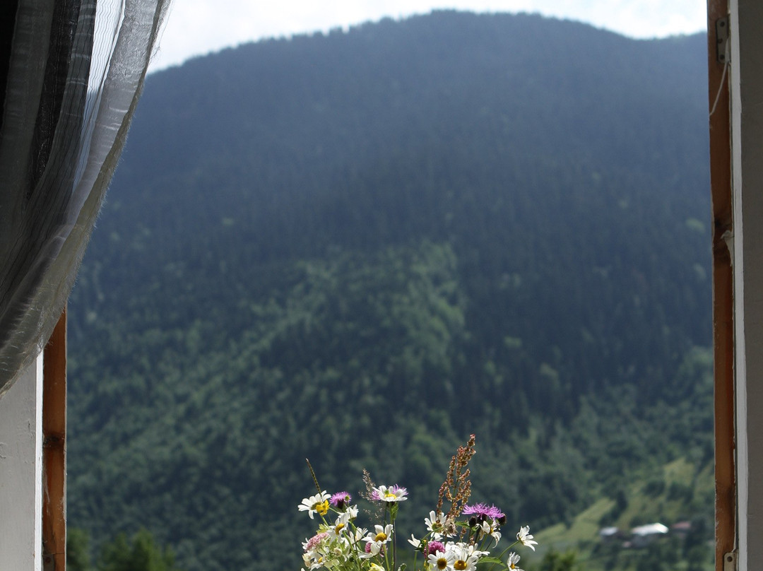 Peak Mazeri Guest House主图