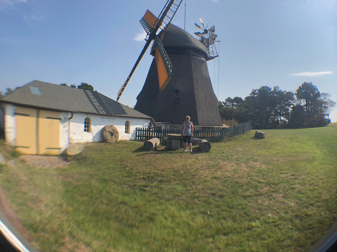 Amrumer Windmühle景点图片