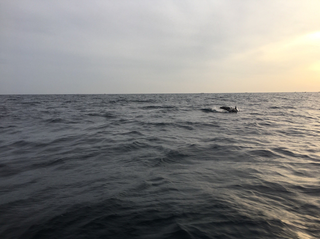 Trinco Eddi-Trincomalee必去景点