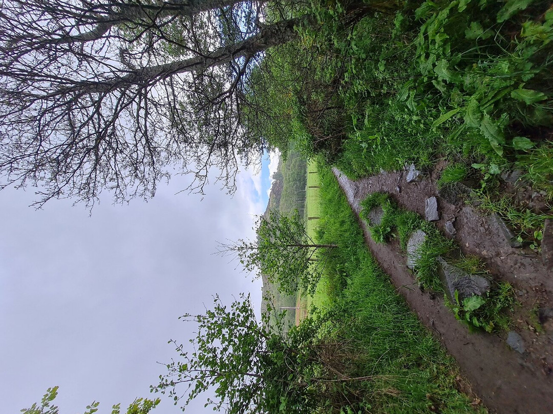 Balmaha Visitor Centre景点图片