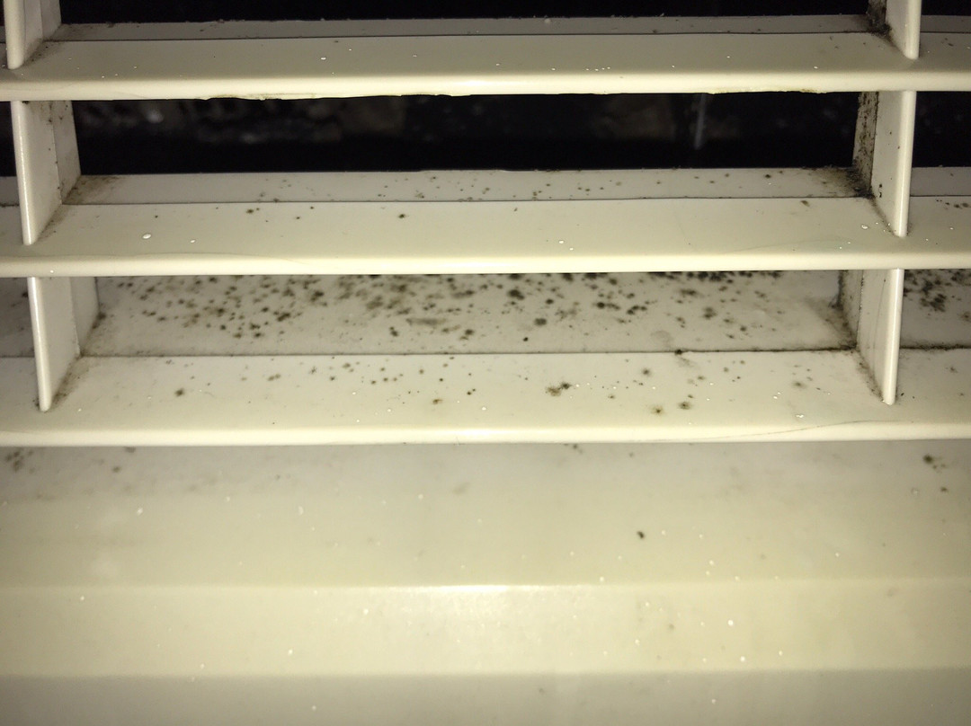 Days Inn by Wyndham Willmar主图