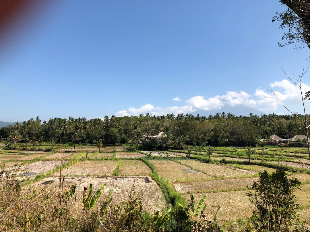 Tumbu旅游攻略图片