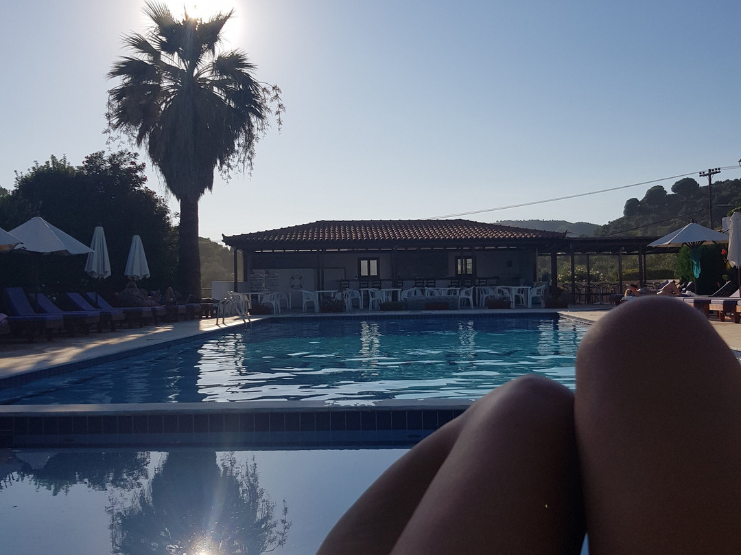 Paradise Hotel主图