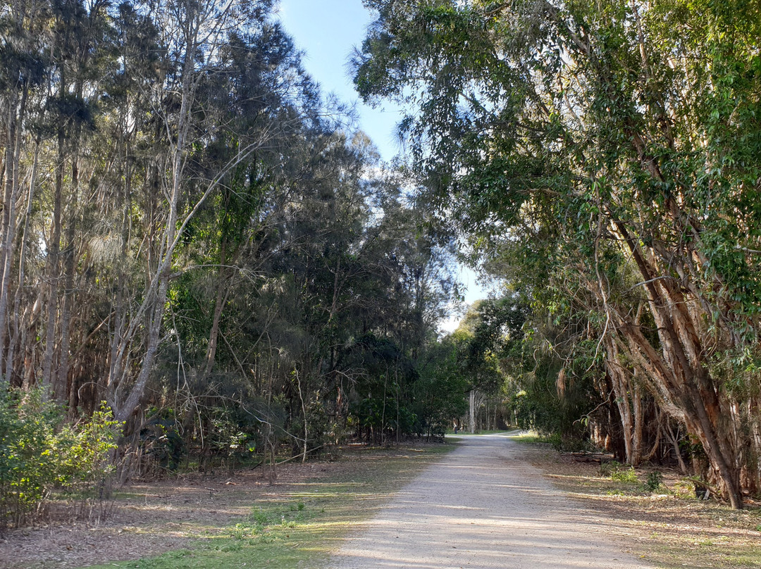 Coombabah Lakes Conservation Area景点图片